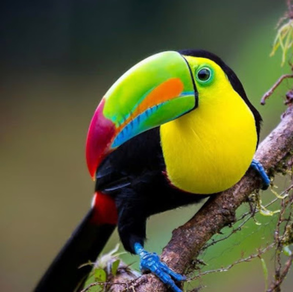 Meet your Posher, Erika - Picture 1 of 1